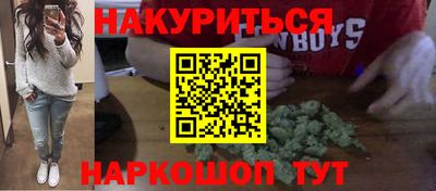 крисы Моздок
