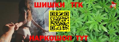 крисы Моздок
