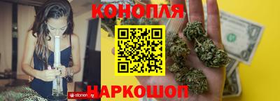 крисы Моздок