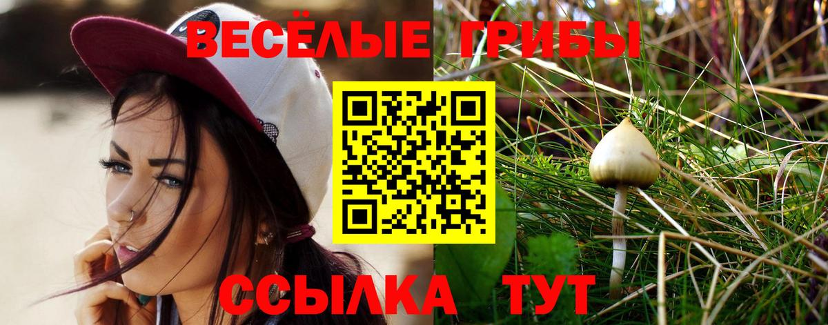 Псилоцибиновые грибы Cubensis Севастополь